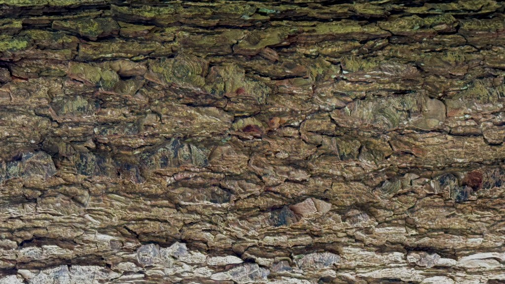 Detail — Holzstruktur an der Fassade